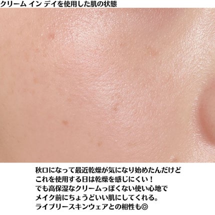 クリーム イン デイ/KANEBO/フェイスクリームを使ったクチコミ(10枚目)