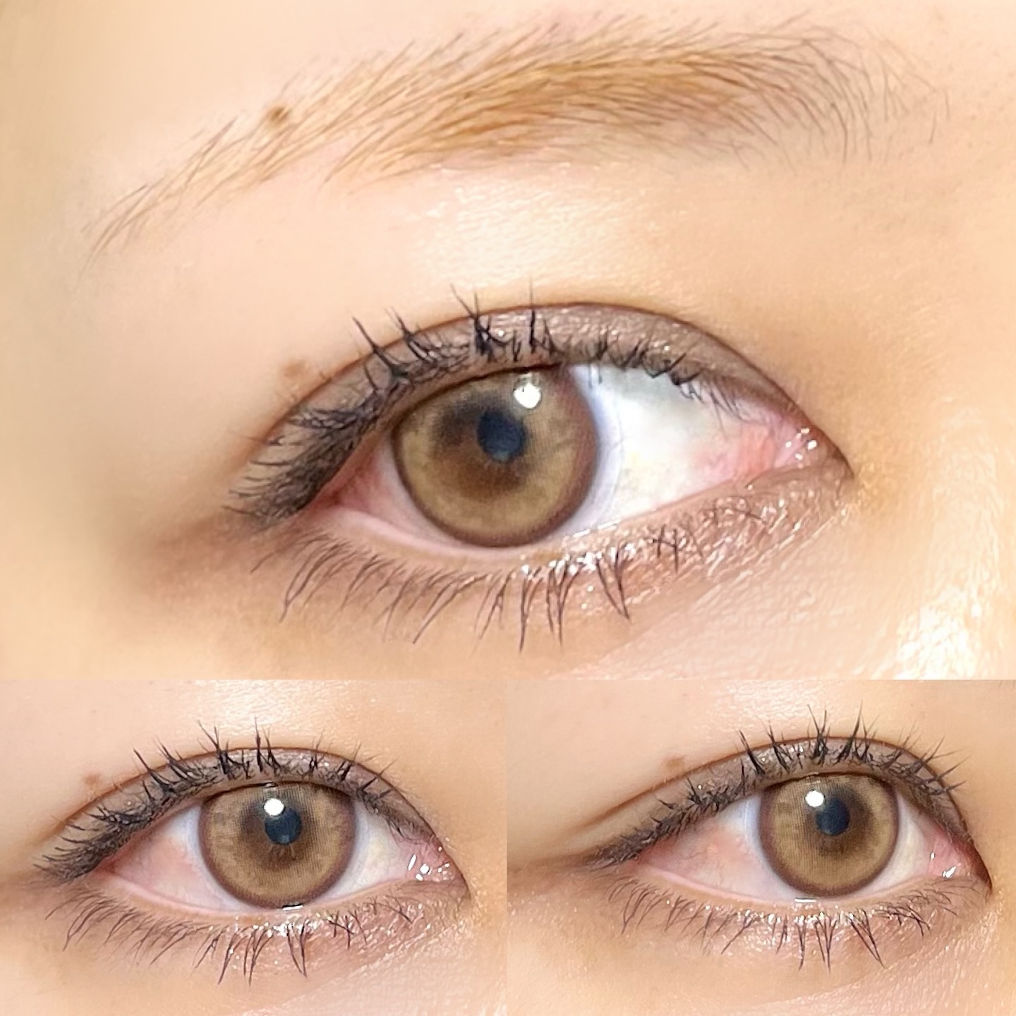 i-sha ORIANA MOLTONのクチコミ「⁡
⁡
蜜のレンズさまからいただきました
⁡
⁡
オリアナモルトン ワンデー 
アンバーブラウ.....」（2枚目）