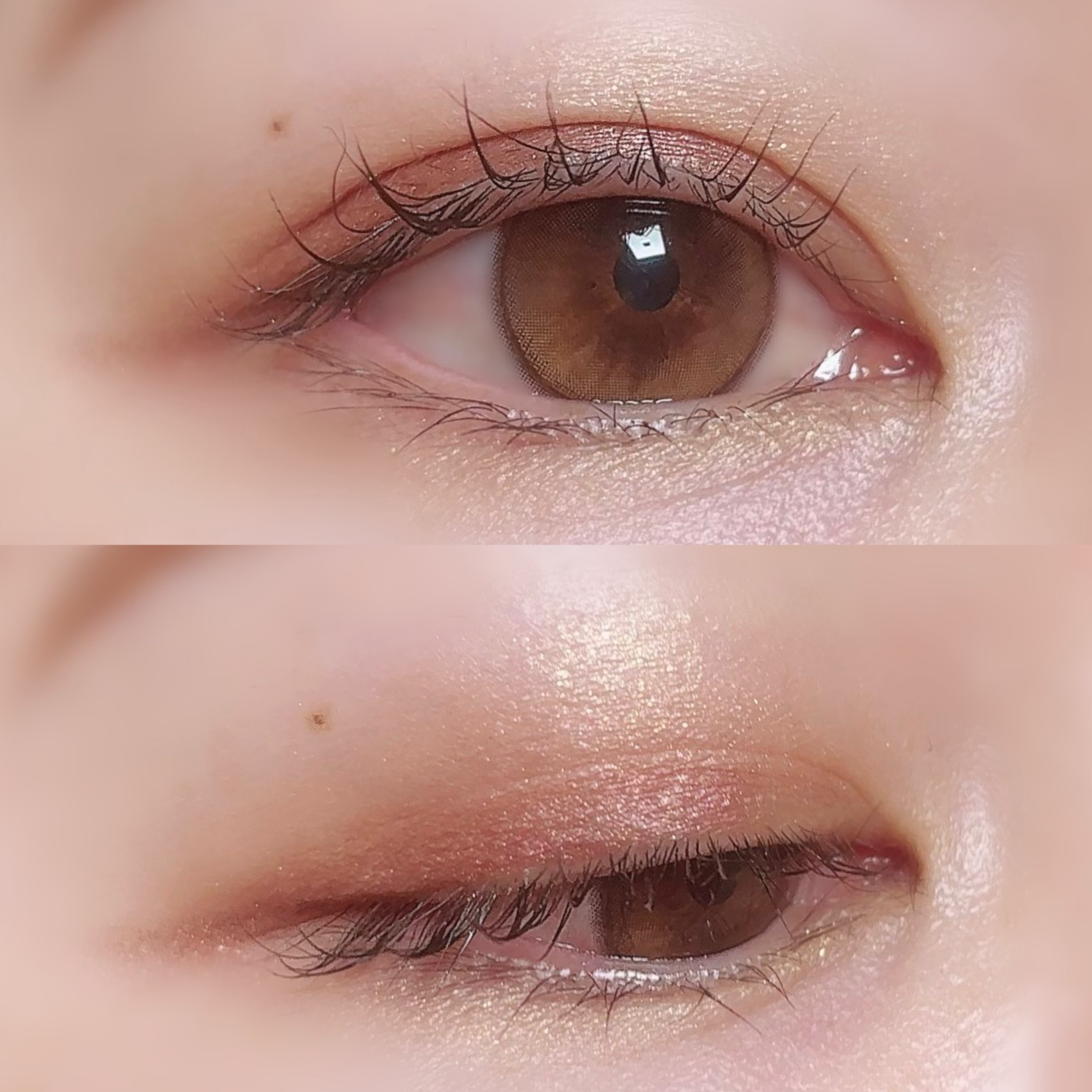 エレガンス コフレ パルボヌール/Elégance/メイクアップキットを使ったクチコミ（3枚目）