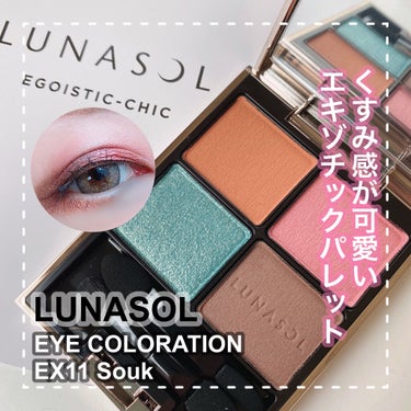 アイカラーレーション EX11 Souk（限定発売）/LUNASOL/アイシャドウパレットを使ったクチコミ（1枚目）