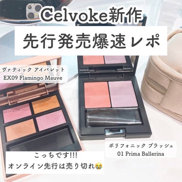 ヴァティック アイパレット EX09 フラミンゴモーヴ/Celvoke/アイシャドウパレットを使ったクチコミ（1枚目）