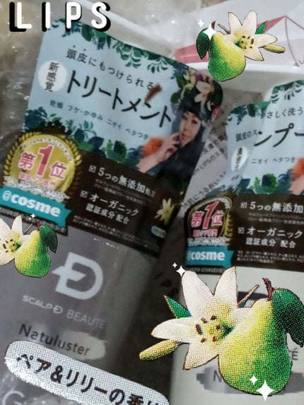 スカルプD ボーテ ナチュラスター スカルプシャンプー/トリートメントパック/アンファー(スカルプD)/シャンプー・コンディショナーを使ったクチコミ(1枚目)