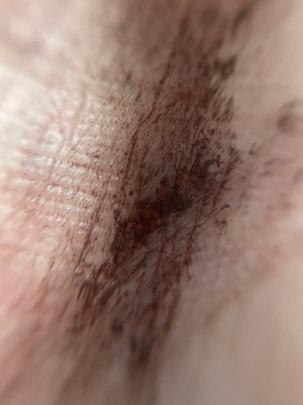 フルエクステンションマスカラ/Elégance/マスカラを使ったクチコミ(6枚目)