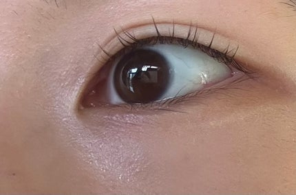 カールラッシュ フィクサー/Elégance/マスカラ下地を使ったクチコミ(1枚目)