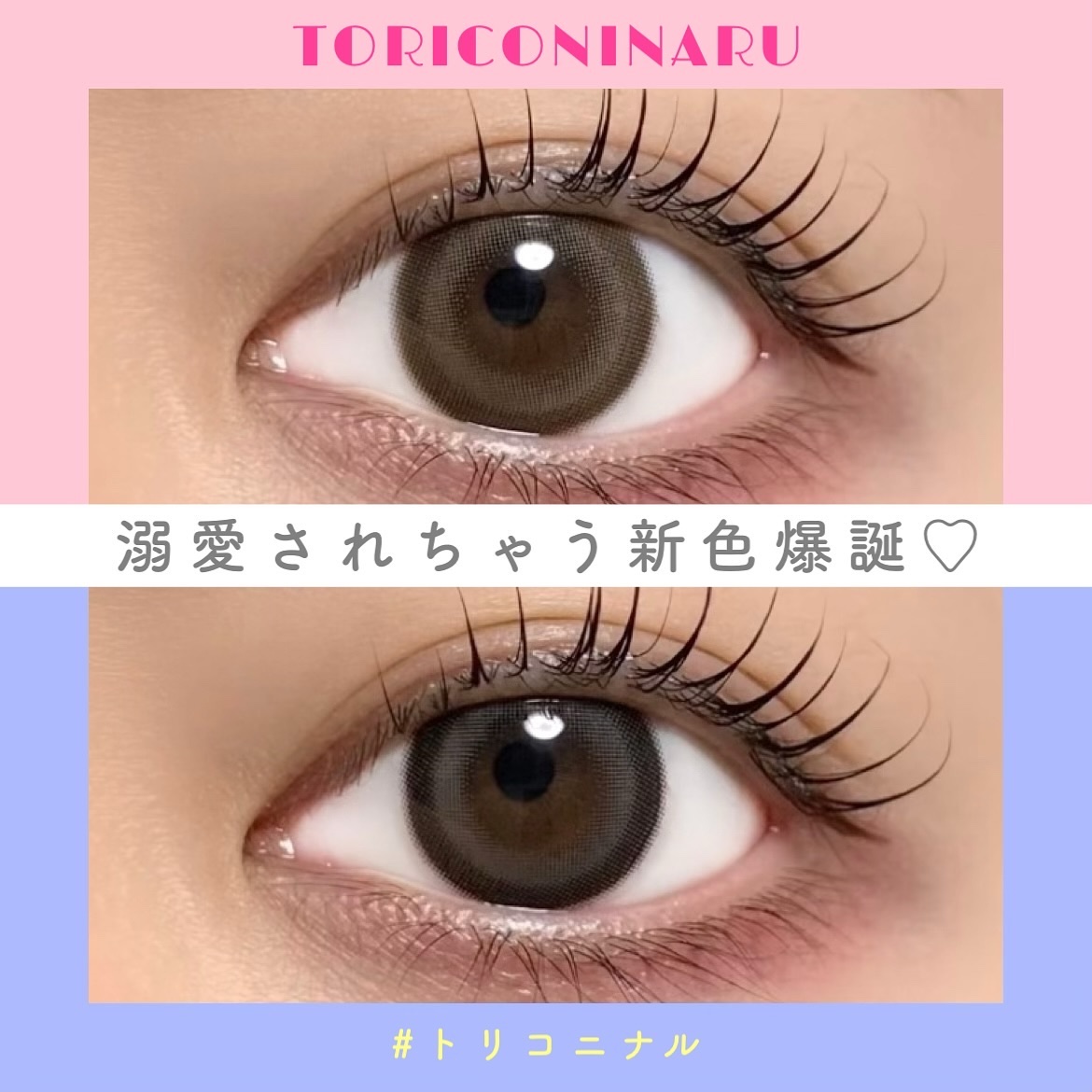 トリコニナル ワンデー/トリコニナル/ワンデー（１DAY）カラコンを使ったクチコミ（1枚目）