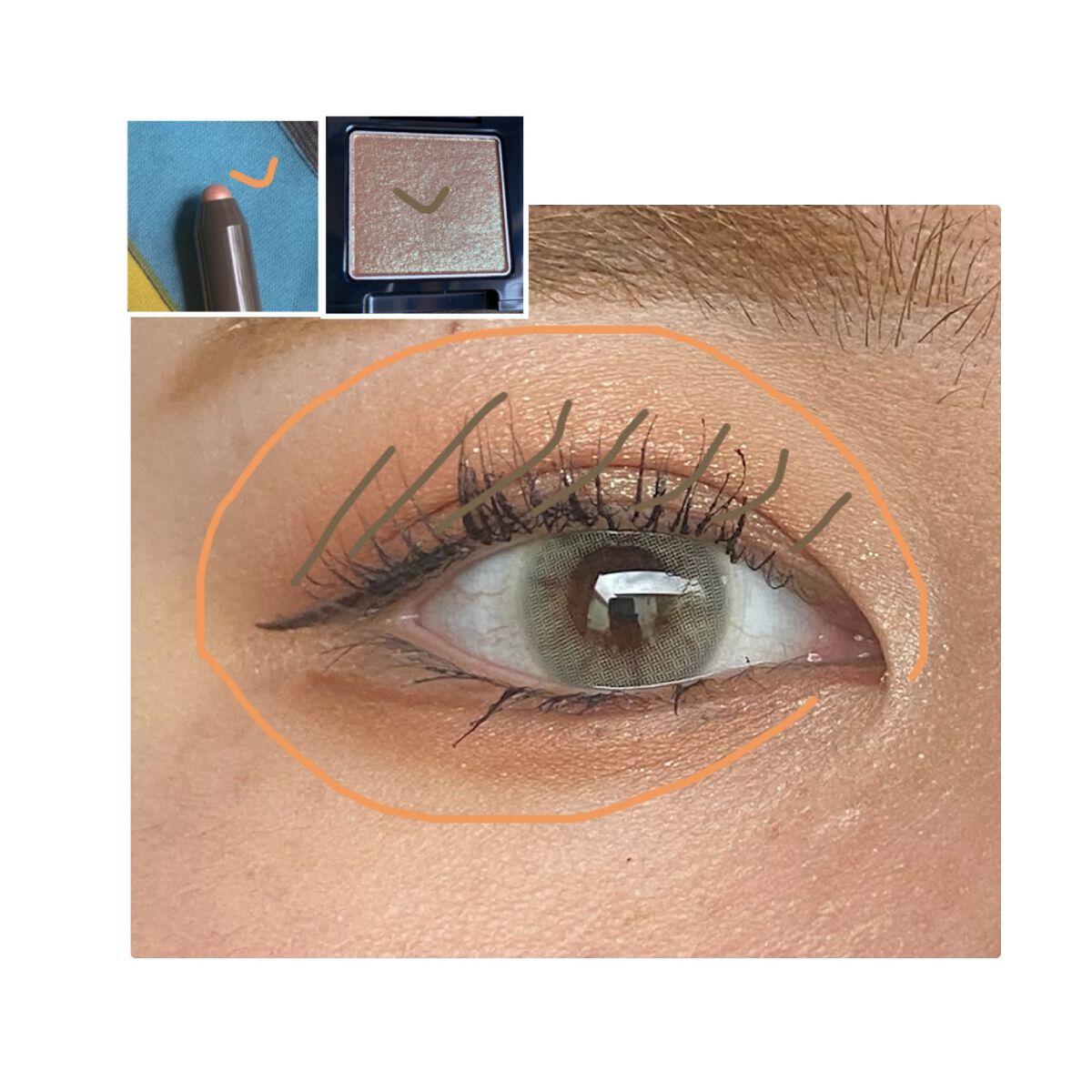 ラズル アイカラー/エレガンス ラズル /単色アイシャドウを使ったクチコミ（2枚目）