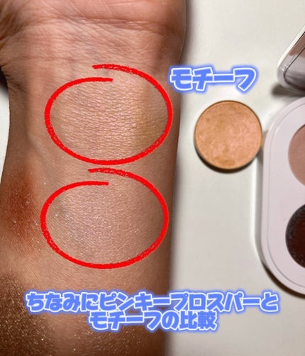 コネクト イン カラー アイシャドウ パレット × 6/M・A・C/アイシャドウパレットを使ったクチコミ(4枚目)