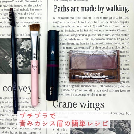 ノーズ&アイブロウパウダー/CEZANNE/パウダーアイブロウを使ったクチコミ(1枚目)