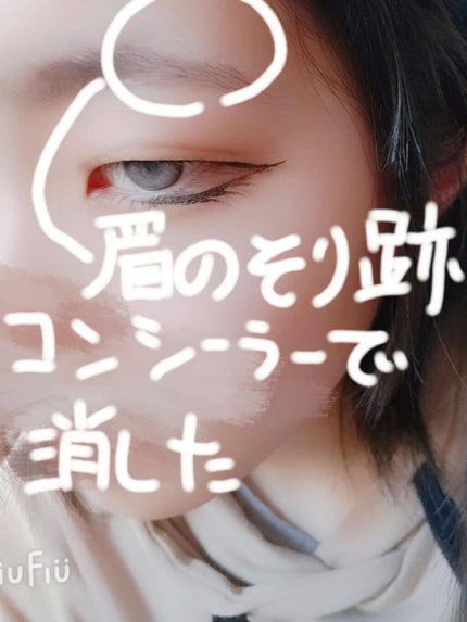 フェース コントロール カラー/CEZANNE/プレストパウダーを使ったクチコミ(5枚目)