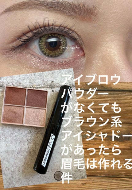 シルキースフレアイズ(マットタイプ)/キャンメイク/アイシャドウパレットを使ったクチコミ(1枚目)