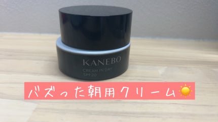 クリーム イン デイ/KANEBO/フェイスクリームを使ったクチコミ(1枚目)
