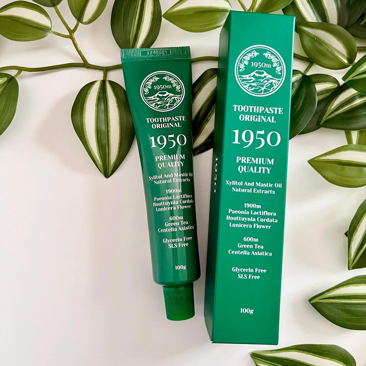 チェジュオリジナルグリーンオーガニック歯磨き粉/1950/歯磨き粉を使ったクチコミ（3枚目）