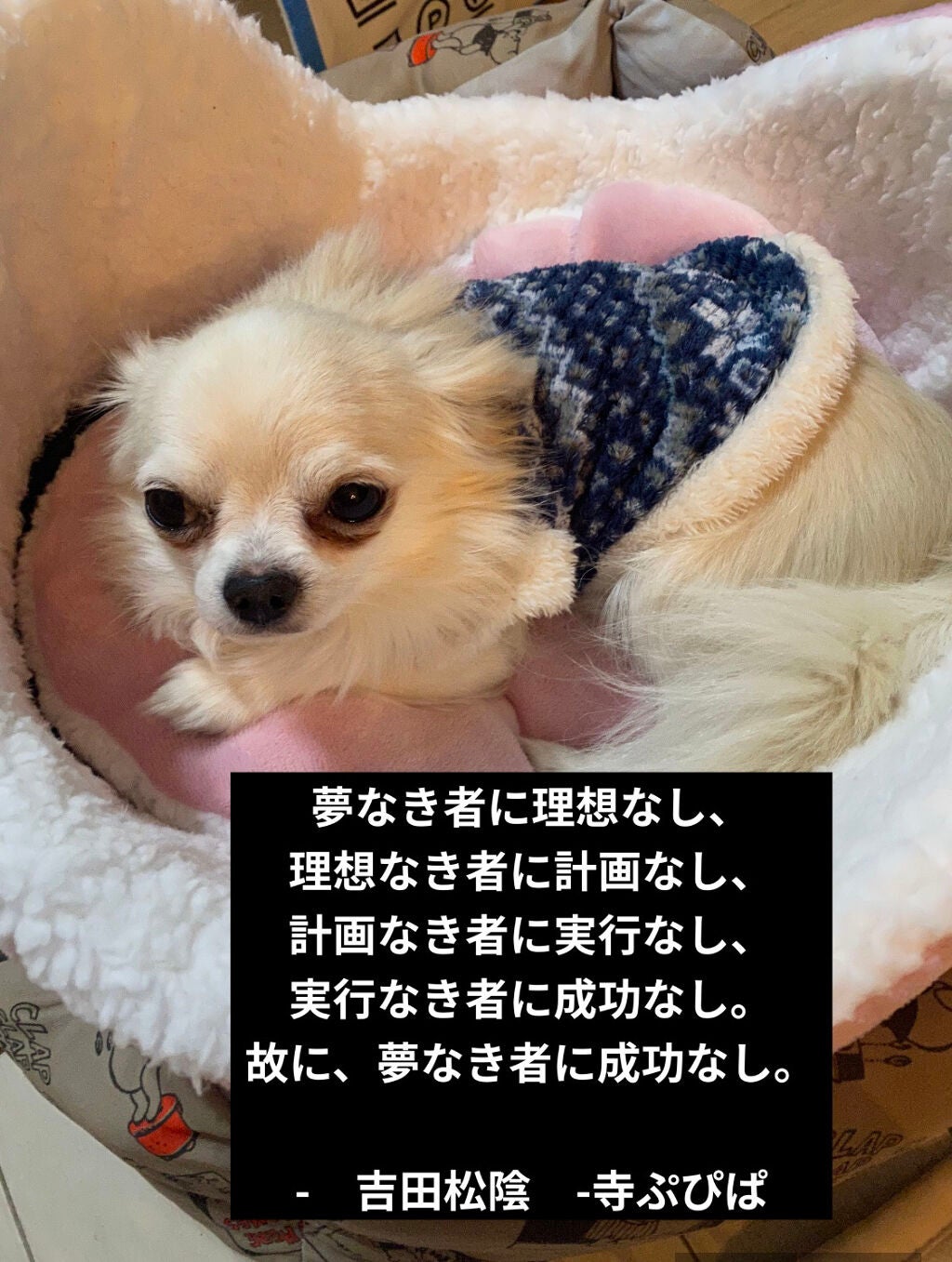 シルキースフレアイズ(マットタイプ)/キャンメイク/アイシャドウパレットを使ったクチコミ(6枚目)