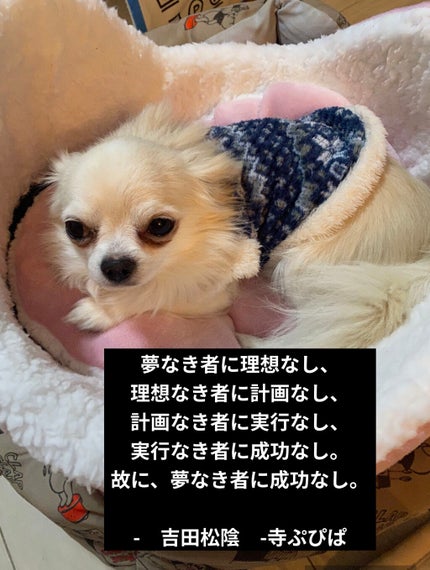 シルキースフレアイズ(マットタイプ)/キャンメイク/アイシャドウパレットを使ったクチコミ(6枚目)