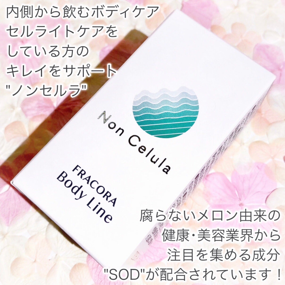 FRACORA Body Line Non Celula/fracora/ボディサプリメントを使ったクチコミ(2枚目)