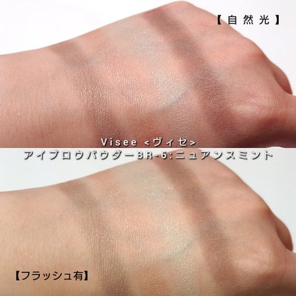 ヴィセ リシェ アイブロウパウダー/Visée/パウダーアイブロウを使ったクチコミ(6枚目)