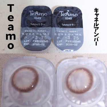 TeAmo TeAmo 1DAYのクチコミ「【TeAmo/キャネルアンバー】

着色直径が13.9mmなので大きすぎずに使いやすいです👀
.....」（1枚目）