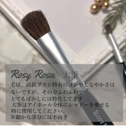 アイシャドウブラシセット/ロージーローザ/メイクブラシを使ったクチコミ(2枚目)