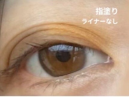 パラドゥ シングルアイシャドウ /パラドゥ/単色アイシャドウを使ったクチコミ(7枚目)