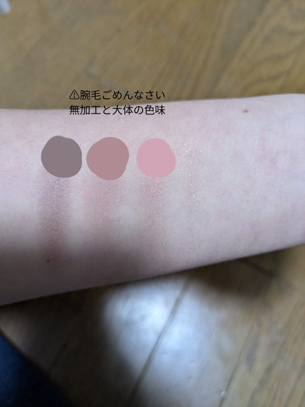 シルキースフレアイズ(マットタイプ)/キャンメイク/アイシャドウパレットを使ったクチコミ(2枚目)