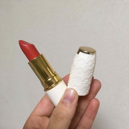 ラスティング リップカラーN/CEZANNE/口紅を使ったクチコミ(1枚目)