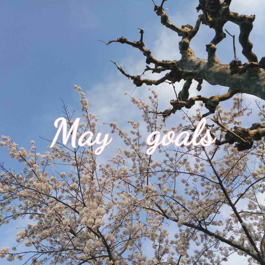 辞めました on LIPS 「4月の振り返りと5月の目標/自分のモチベーション維持のため、先..」(1枚目)