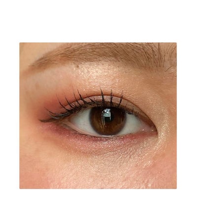 パーツリサイズシャドウ/KATE/アイシャドウパレットを使ったクチコミ(3枚目)