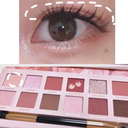 エクスプローラ12色 動物アイシャドウパレット/PERFECT DIARY/アイシャドウパレットを使ったクチコミ(3枚目)