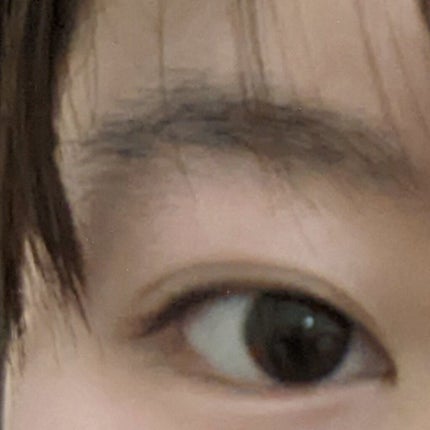 カラーリングアイブロウ/ヘビーローテーション/眉マスカラを使ったクチコミ(2枚目)