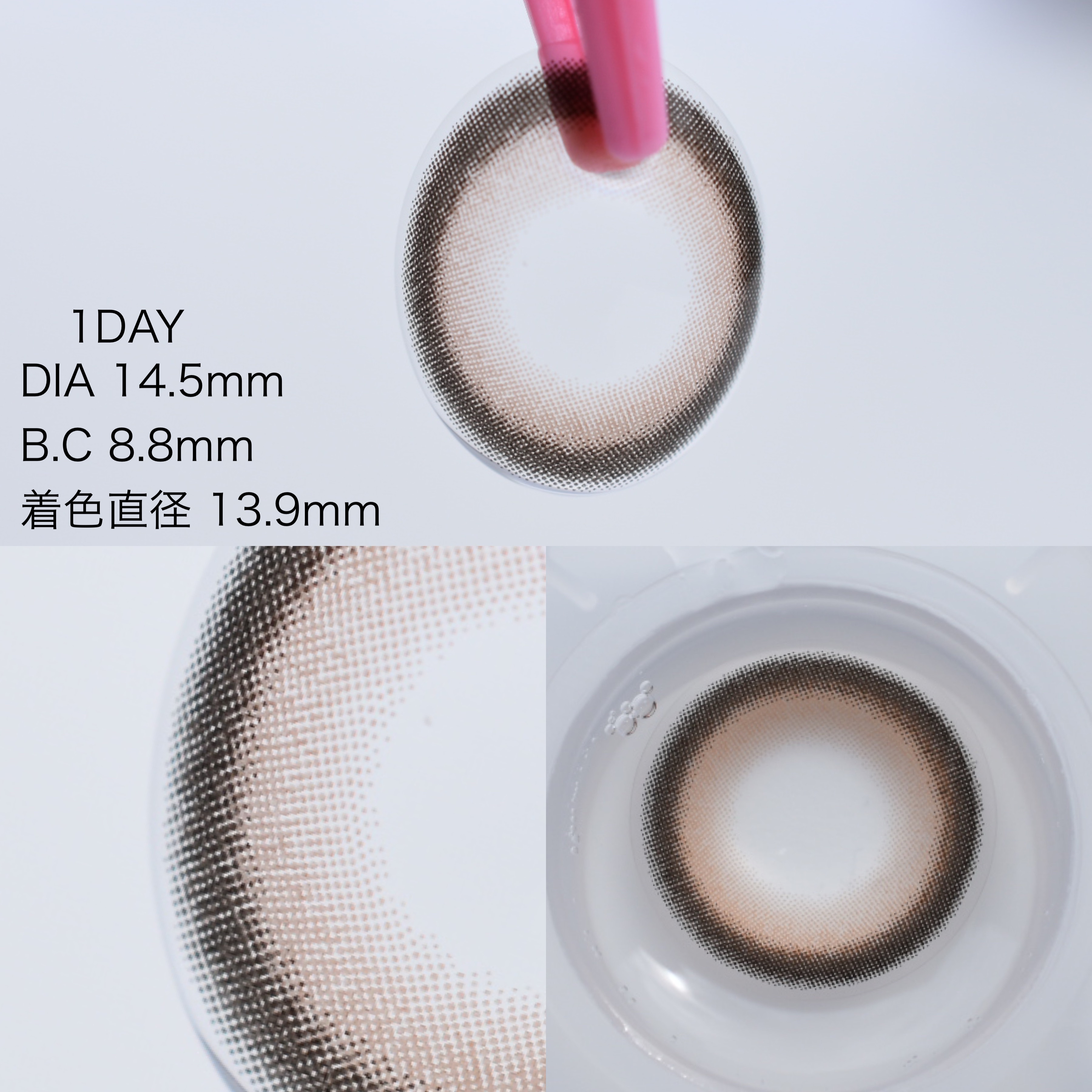 secretcandymagic 1day(シークレットキャンディーマジック） バニラブラウン/secret candymagic/ワンデー（１DAY）カラコンを使ったクチコミ（2枚目）