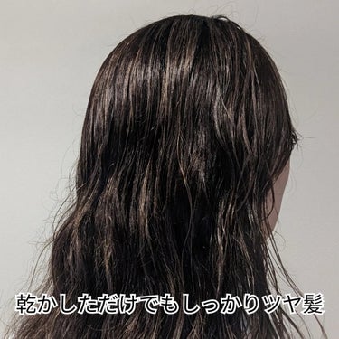 エアリーアンドグロス シャンプー／トリートメント  シャンプー/LOVEST by air Salon Quality Hair Care/シャンプー・コンディショナーの画像