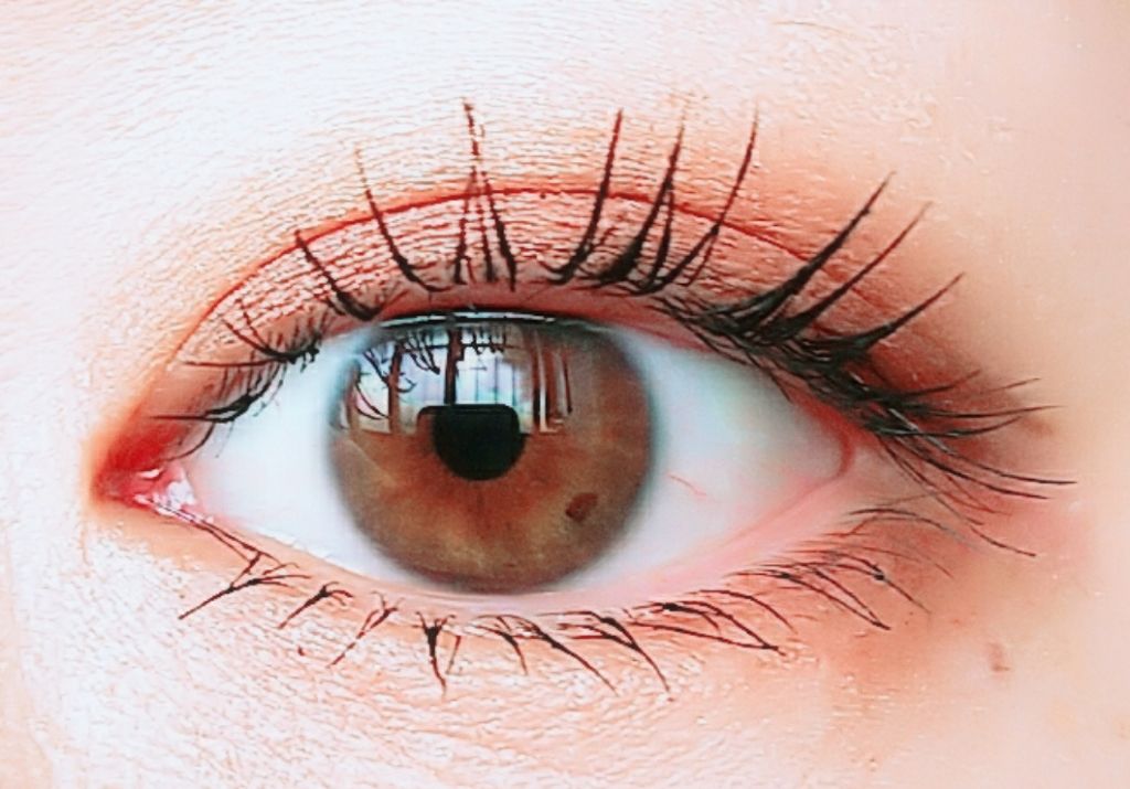 トーンアップアイシャドウ/CEZANNE/アイシャドウパレットを使ったクチコミ(2枚目)