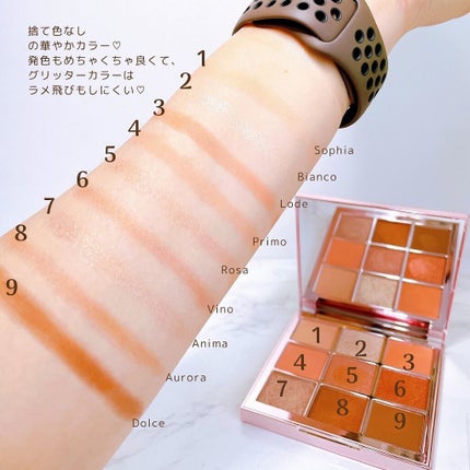The Bella collection eyeshadow palette/CELEFIT/アイシャドウパレットを使ったクチコミ(4枚目)