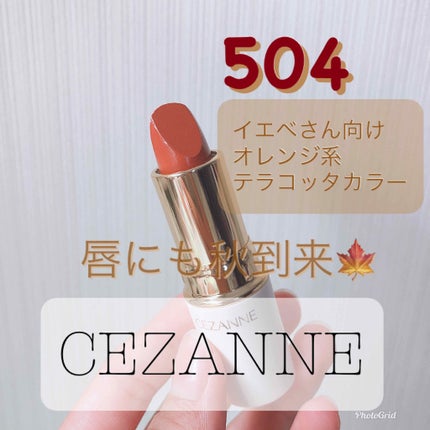 ラスティング リップカラーN/CEZANNE/口紅を使ったクチコミ(1枚目)