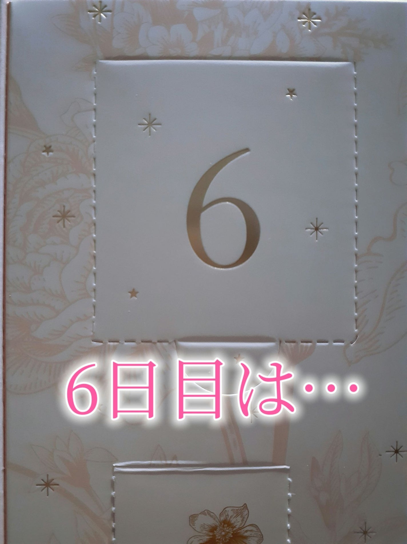 鈴花 on LIPS 「6日目!PEACHJOHNのアドベントカレンダー今年、色んなコ..」(2枚目)