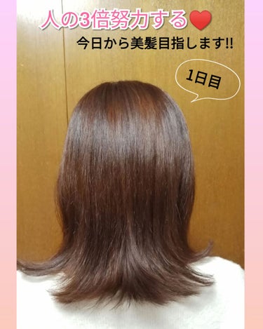 ライプ R3 アルガン ヘアオイル/RAIP/ヘアオイルを使ったクチコミ（1枚目）