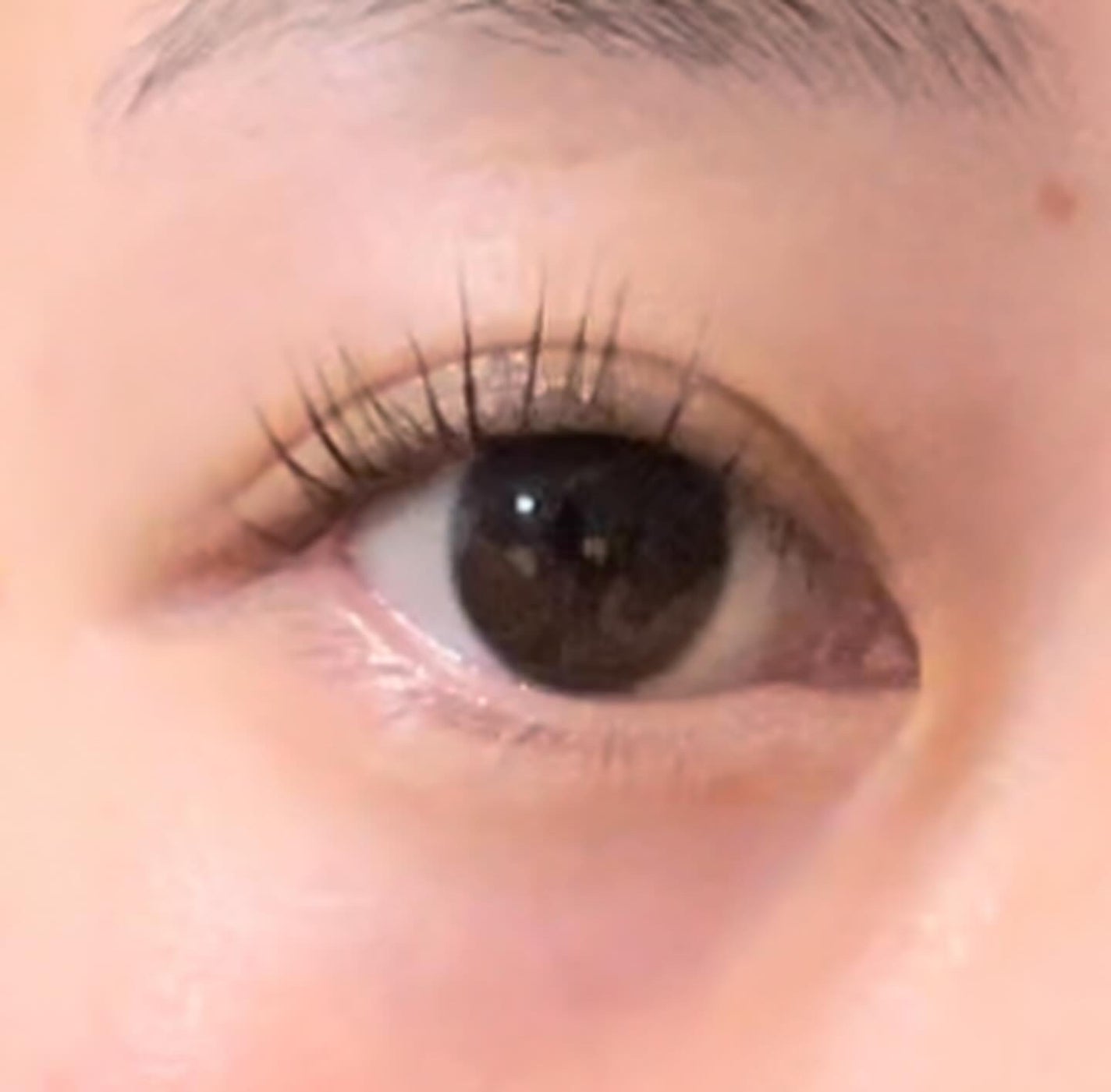 低刺激セルフまつげパーマ9種セット/EYE2IN/その他キットセットを使ったクチコミ(7枚目)