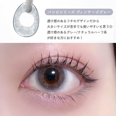 Angelcolor Bambi Series Vintage 1day ヴィンテージグレー/AngelColor/ワンデー（１DAY）カラコンの画像