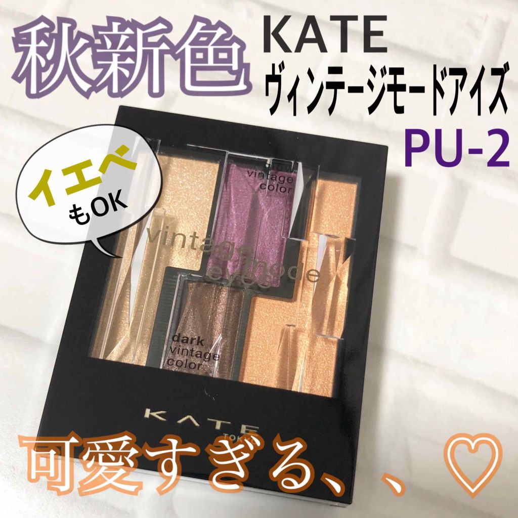 ヴィンテージモードアイズ/KATE/アイシャドウパレットを使ったクチコミ(1枚目)