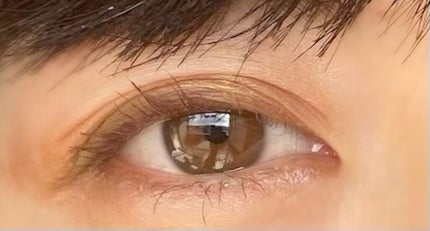 シェイク ユア パーム パームズ ミニ アイシャドウ パレット/Too Faced/アイシャドウパレットを使ったクチコミ(7枚目)