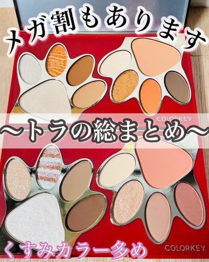 トラ十色アイシャドウパレット/COLORKEY/アイシャドウパレットを使ったクチコミ(1枚目)