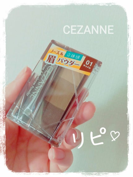 ノーズ&アイブロウパウダー/CEZANNE/パウダーアイブロウを使ったクチコミ(1枚目)