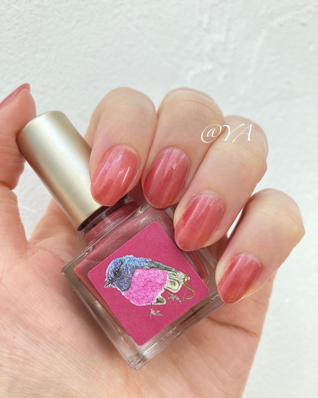 ネイルエス/ nail S(ネイルエス) /マニキュアを使ったクチコミ（2枚目）