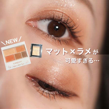 パーフェクトマルチアイズ/キャンメイク/アイシャドウパレットを使ったクチコミ(1枚目)