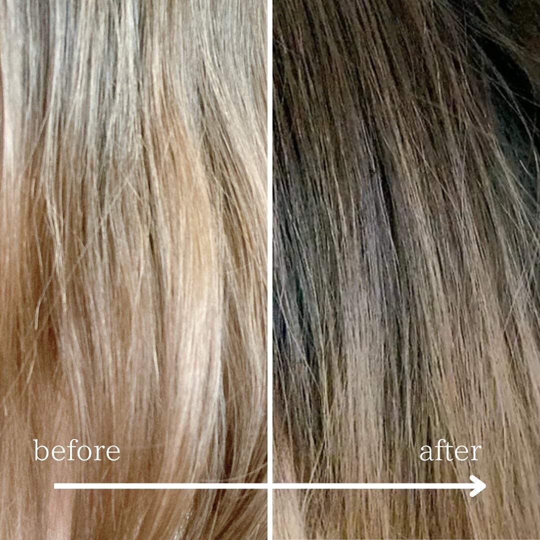 アネツプレミアムヘアエッセンス/ANETSU/ヘアオイルを使ったクチコミ(3枚目)