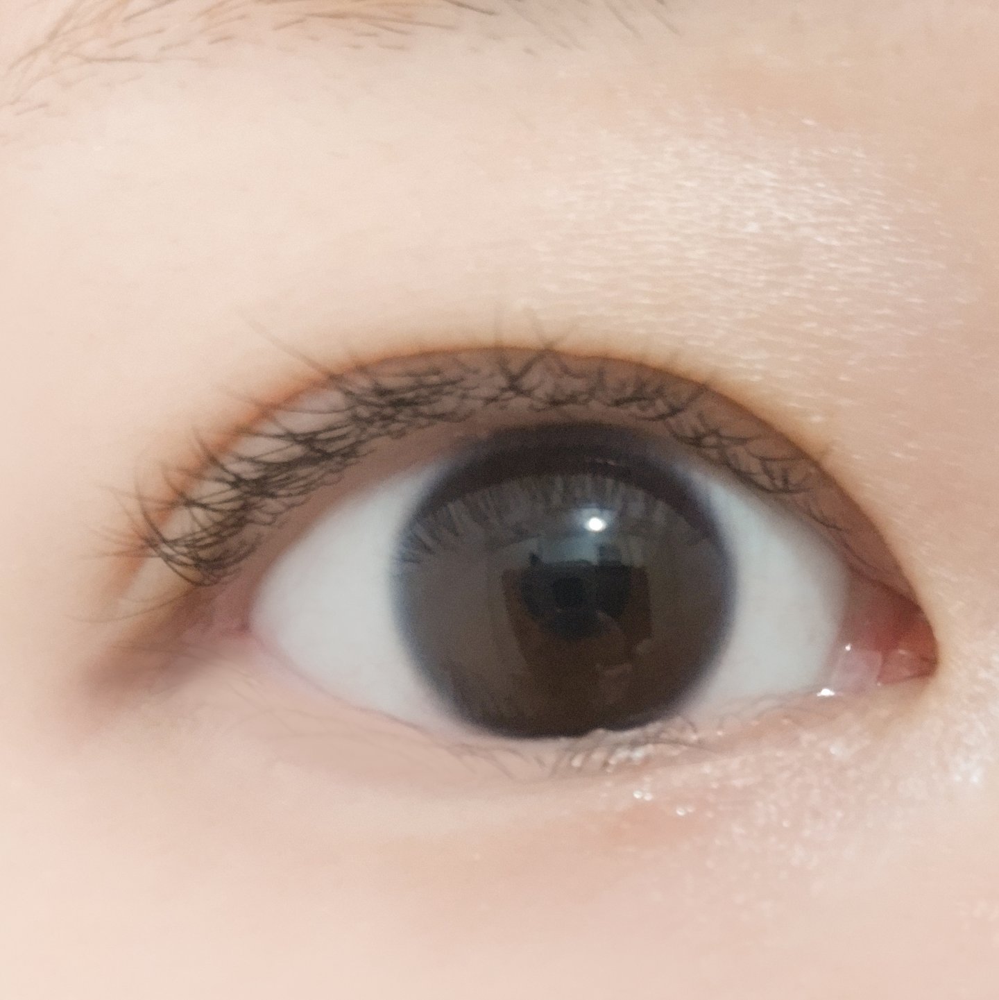 Majette 1day ミスドール/Majette/ワンデー（１DAY）カラコンを使ったクチコミ（2枚目）