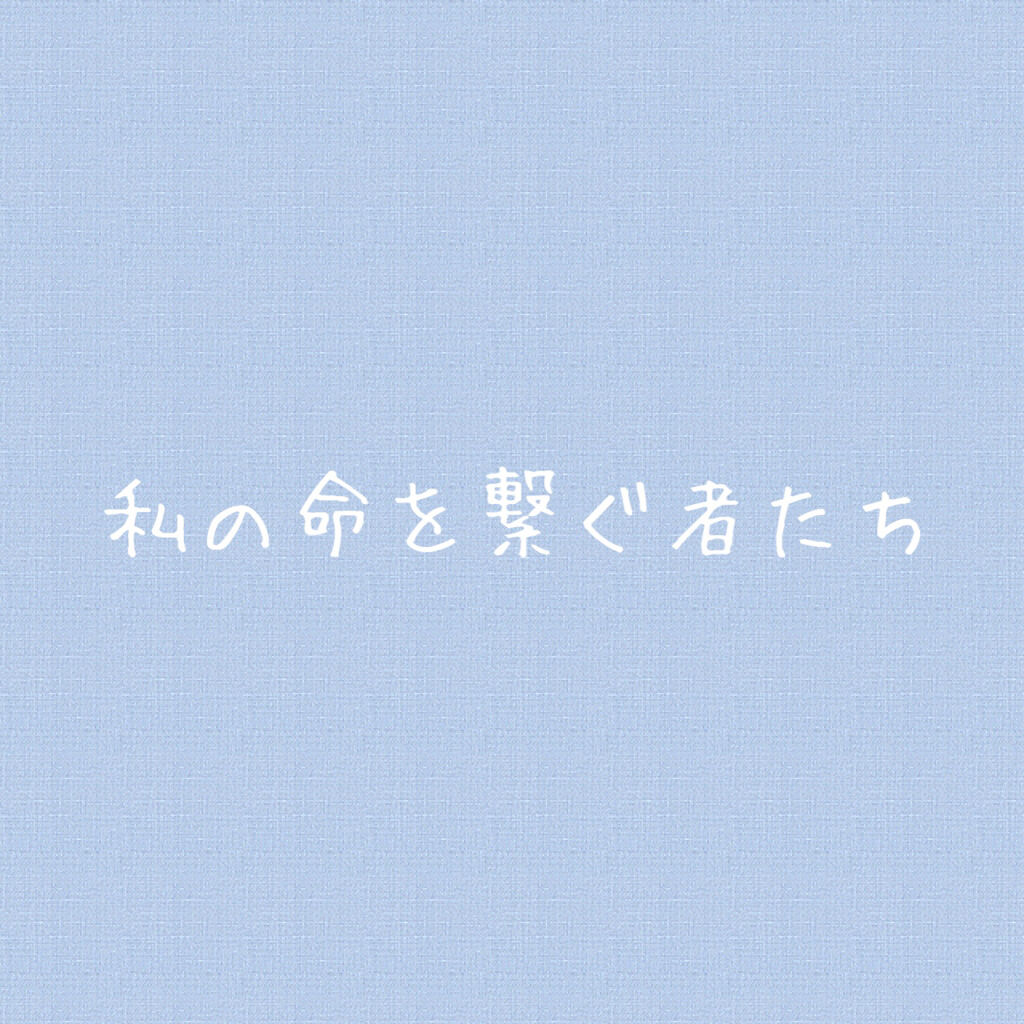 bi-hada ompa L ホルダー替刃2個付/貝印/シェーバーを使ったクチコミ（1枚目）