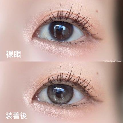 Secretive Kristen/Hapa kristin/カラーコンタクトレンズを使ったクチコミ(2枚目)