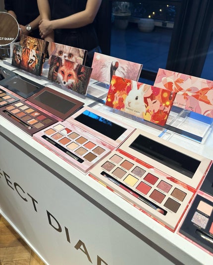 エクスプローラ12色 動物アイシャドウパレット/PERFECT DIARY/アイシャドウパレットを使ったクチコミ(5枚目)