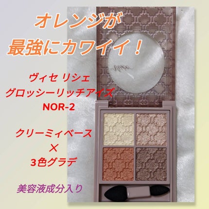 グロッシーリッチ アイズ N/Visée/アイシャドウパレットを使ったクチコミ(1枚目)